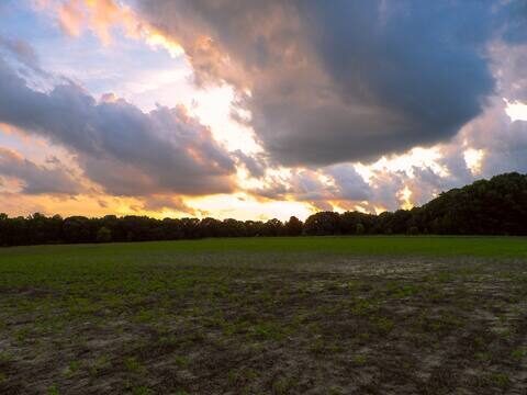 Sunset over the pond