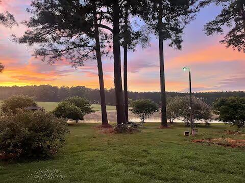Pond view at golden hour