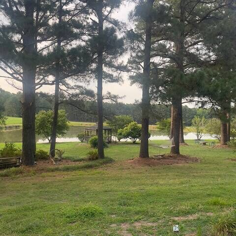 Pond view with trees